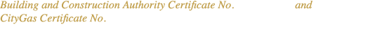 Building and Construction Authority Certificate No  PPFT 18 73 and SSA 05 00007 CityGas Certificate No  LGSWR CG14 1043
